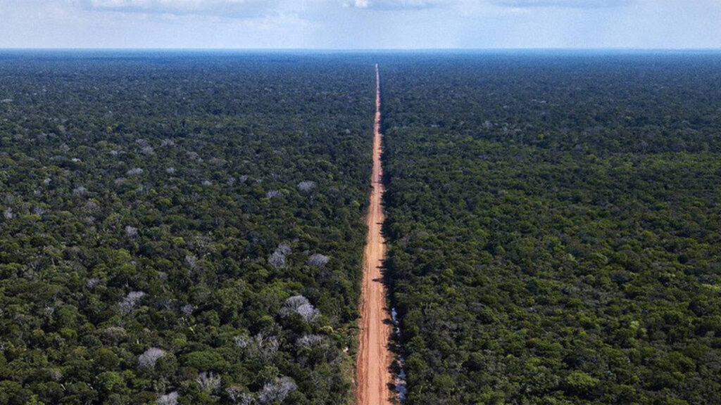 Trecho da BR-319, entre Manaus (AM) e Porto Velho (RO) - Foto: DNIT - Gente de Opinião