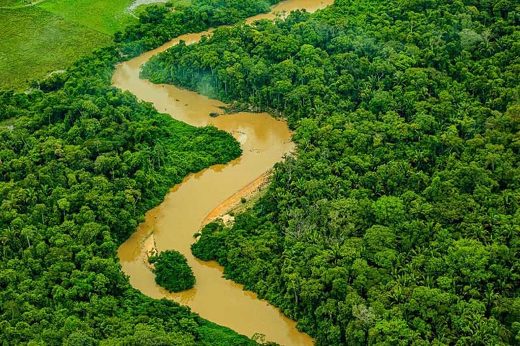 Rondônia é líder em controle de desmatamento na Amazônia Legal, destaca Ministério do Meio Ambiente - Gente de Opinião