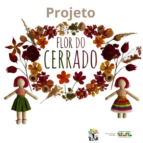 Projeto "Flor do Cerrado" oferece oficinas gratuitas de artesanato, até dezembro - Gente de Opinião