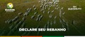 Declare Seu Rebanho: a Sustennutri Nutrição Animal é parceira da Idaron em mais uma etapa