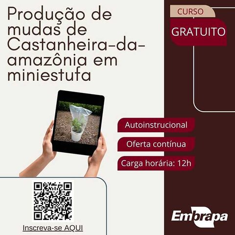 Curso on-line para produção de castanheira-da-amazônia em miniestufa tem inscrições abertas - Gente de Opinião