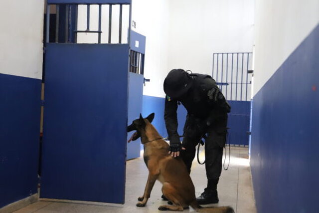 As operações contaram com o apoio do Cão Policial “Bazuca” do Canil Gape - Gente de Opinião