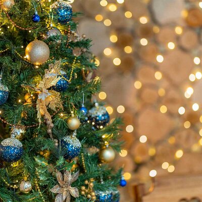 Decoração de Natal: segurança é fundamental para evitar acidentes e economizar energia