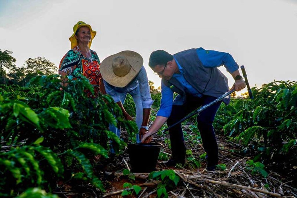 Expectativa do Governo é de que a cafeicultura possa gerar pelo menos US$100 milhões em exportação até o fim do ano - Gente de Opinião