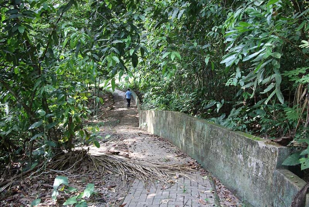 Ação do MPF pede reparação de danos pelo abandono de cemitérios históricos de Rondônia - Gente de Opinião