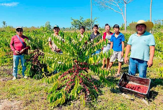 Governo de RO publica Edital de Chamada Pública para Programa de Aquisição de Alimentos Indígena - Gente de Opinião