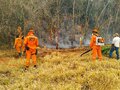 Enchentes e incêndios: coronel Nivaldo fala da ação primordial dos Bombeiros em momentos de resiliência e defesa da sociedade