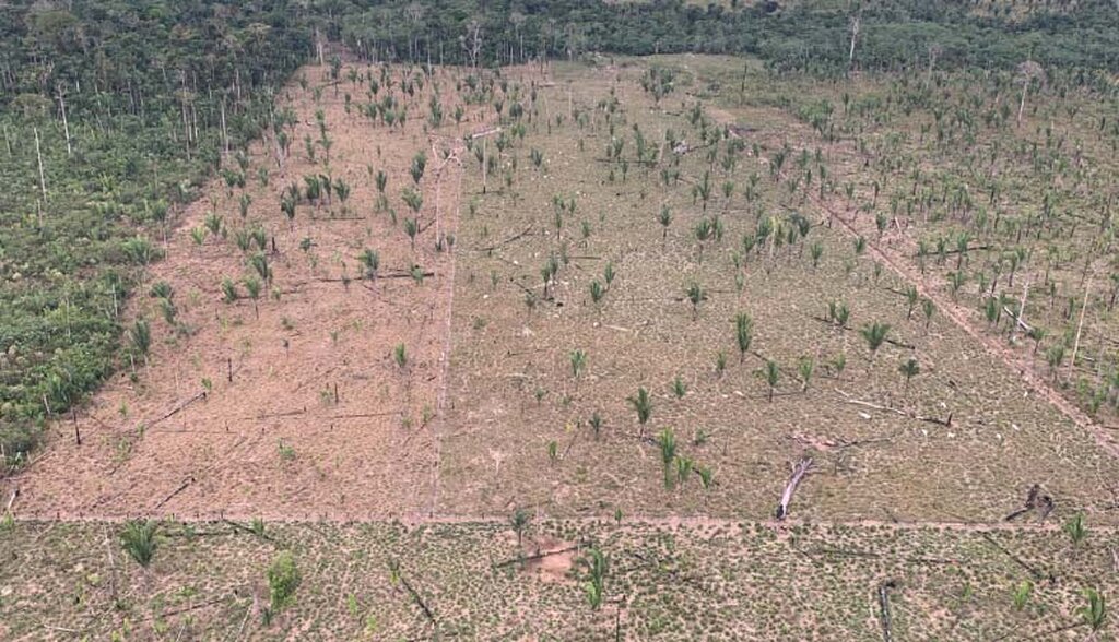 MPRO investiga desmatamento de área maior que 600 campos de futebol de floresta em Rondônia - Gente de Opinião