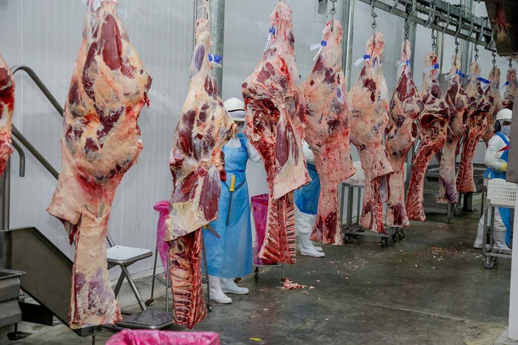 Rondônia bate recorde nas exportações de carne; crescimento de quase 20% impulsionado pela gestão de Marcos Rocha - Gente de Opinião