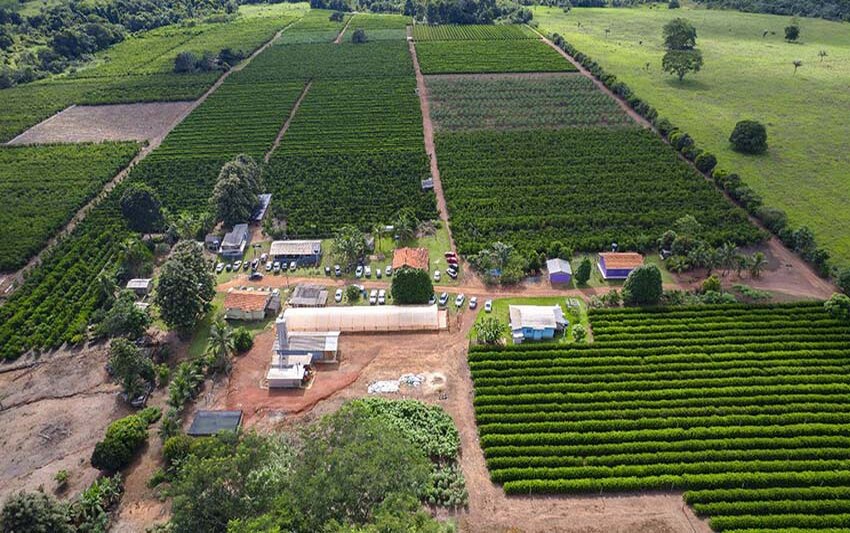 Crescimento da cafeicultura em Rondônia impulsiona visitas à Rota Turística do Café