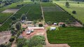 Crescimento da cafeicultura em Rondônia impulsiona visitas à Rota Turística do Café