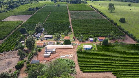 Crescimento da cafeicultura em Rondônia impulsiona visitas à Rota Turística do Café