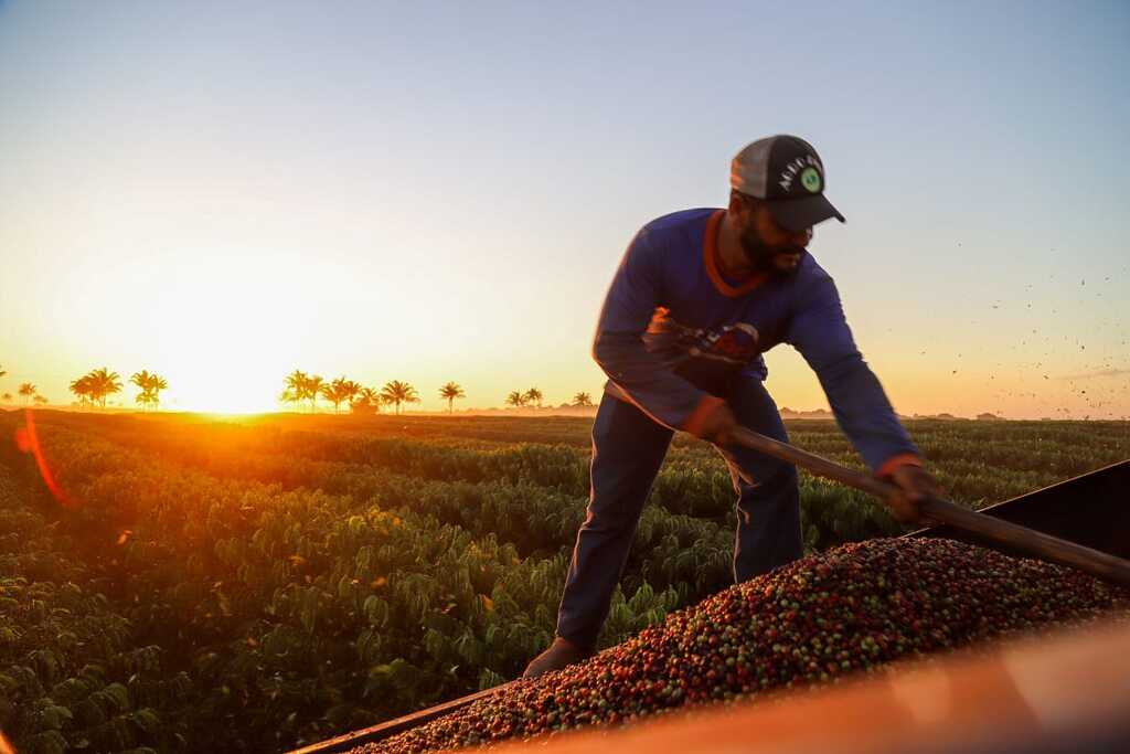 Sebrae valoriza e apoia o pequeno produtor rural para alcançar resultados gigantes - Gente de Opinião