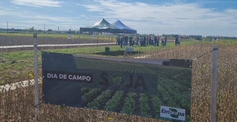 Embrapa Rondônia realiza Dia de Campo de Soja