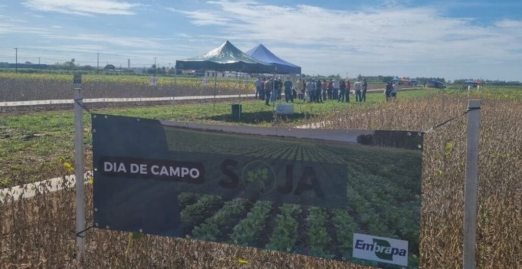 Embrapa Rondônia realiza Dia de Campo de Soja - Gente de Opinião