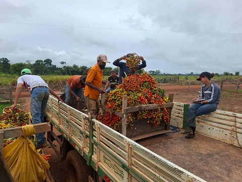 Agricultores de Porto Velho podem solicitar transporte gratuito para escoamento da produção na feira livre de domingo