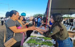 Projeto Embaúba movimenta Porto Velho com ações sociais, atendimentos gratuitos e recorde de participação estudantil