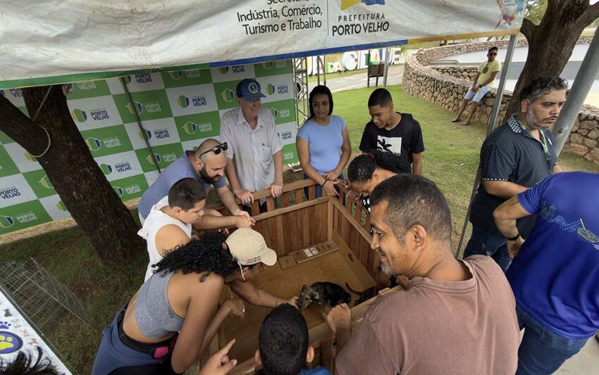 Adoção de cães e gatos é sucesso em feira realizada pela prefeitura de Porto Velho