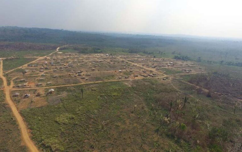 Ação do MPF busca restabelecer limites originais da Floresta Nacional Bom Futuro em Rondônia