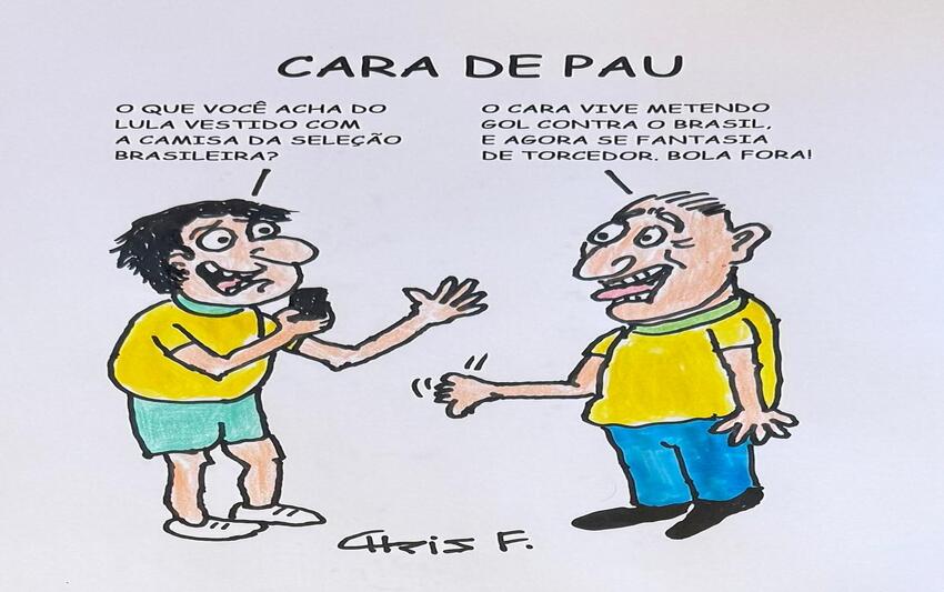 Cara de pau