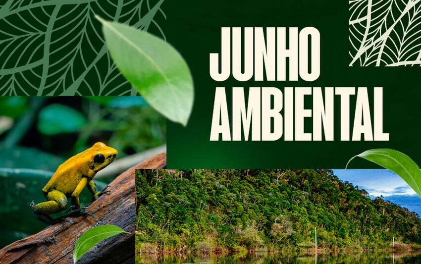 Junho Ambiental: MPF obtém decisão que obriga estado de Rondônia a proteger antigo território da Floresta Nacional do Bom Futuro