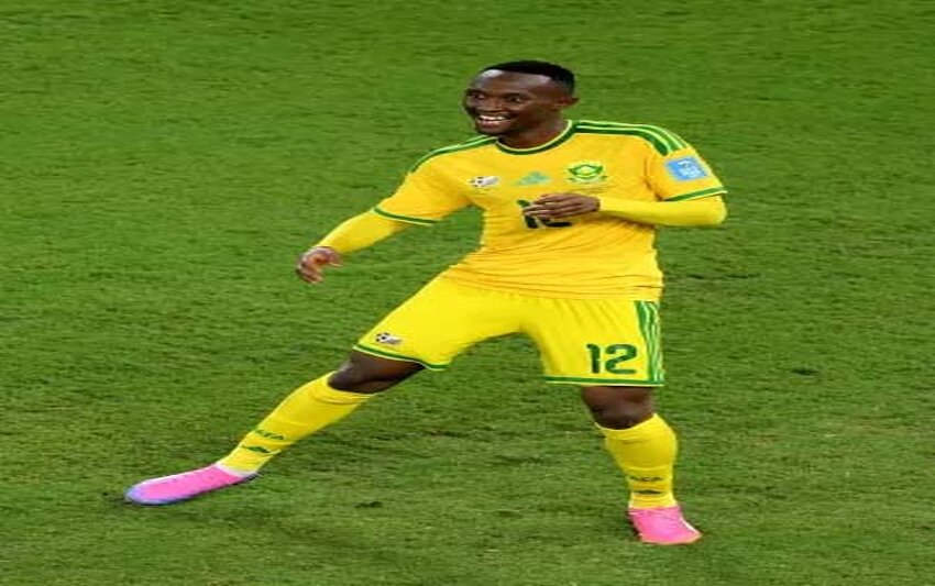A alegria dos bafana, bafana